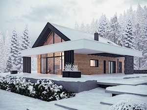 Zimowa odsłona projektu domu HomeKONCEPT 66 A