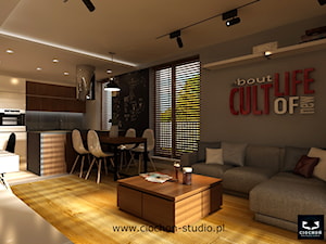 Mieszkanie II - Salon, styl nowoczesny - zdjęcie od Ciochoń-Studio