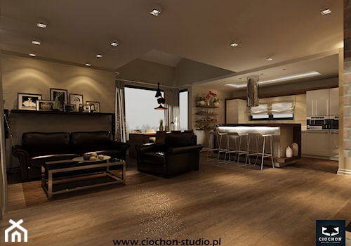 Dom IV koncepcja projektowa - Salon, styl nowoczesny - zdjęcie od Ciochoń-Studio