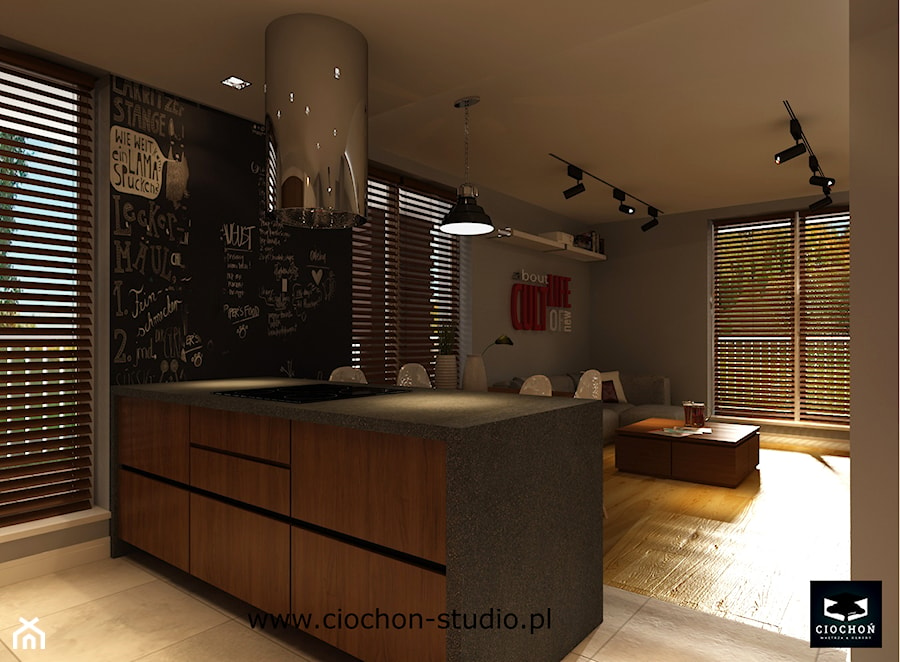 Mieszkanie II - Kuchnia, styl nowoczesny - zdjęcie od Ciochoń-Studio