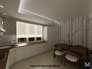 Kuchnia i łazienka - projekt i realizacja - Kuchnia, styl skandynawski - zdjęcie od Ciochoń-Studio