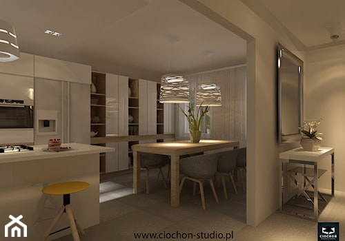 Koncepcja projektowa kuchni z jadalnią - zdjęcie od Ciochoń-Studio