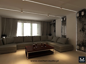 Pokój telewizyjny - zdjęcie od Ciochoń-Studio