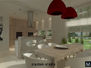 Projekt wnętrza domu - Węgrzce - zdjęcie od Ciochoń-Studio
