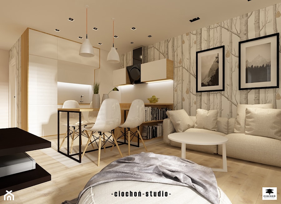 Mieszkanie pod wynajem w Krakowie - Zabłocie Concept House - Mały szary salon z kuchnią z jadalnią, styl nowoczesny - zdjęcie od Ciochoń-Studio