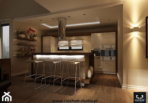 Dom IV koncepcja projektowa - Średnia otwarta biała z zabudowaną lodówką kuchnia dwurzędowa z wyspą lub półwyspem, styl nowoczesny - zdjęcie od Ciochoń-Studio