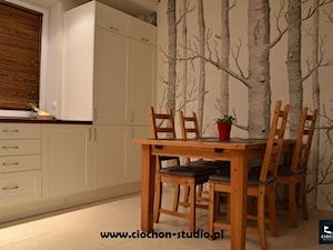 Kuchnia i łazienka - projekt i realizacja - Kuchnia, styl skandynawski - zdjęcie od Ciochoń-Studio
