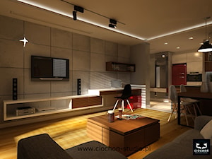 Mieszkanie II - Salon, styl nowoczesny - zdjęcie od Ciochoń-Studio
