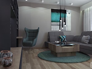 Mieszkanie w Skidziniu - Średni szary salon, styl nowoczesny - zdjęcie od DOKTOR HOUSE DESIGN