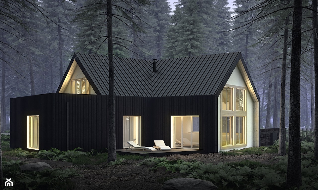 projekt domu w lesie, czarny dach, ziemna elewacja, duże okna