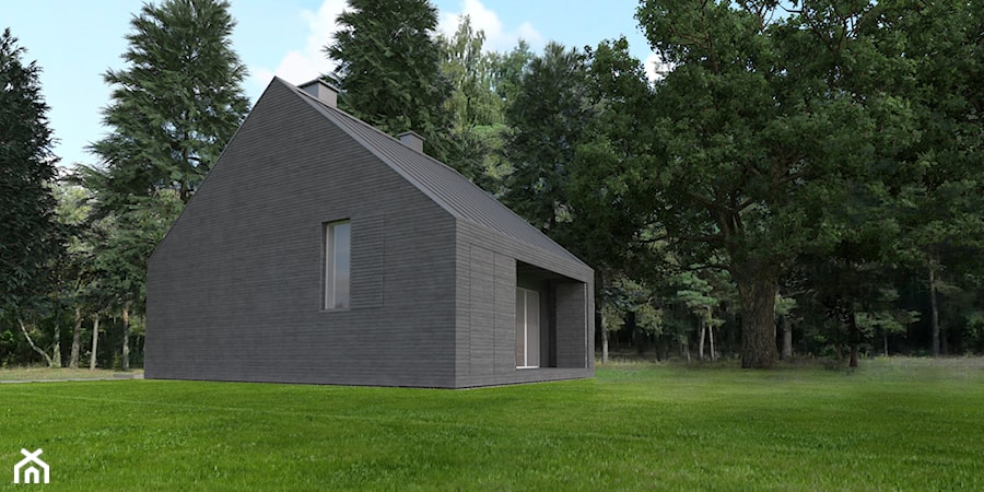 Dom prywatny w Apolonii - Małe parterowe domy energooszczędne drewniane z dwuspadowym dachem, styl minimalistyczny - zdjęcie od KOZIEJ ARCHITEKCI
