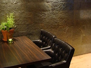 Silkstone- naturalne okładziny kamienne- ściany w salonie - zdjęcie od Galeria Heban- ekskluzywne meble
