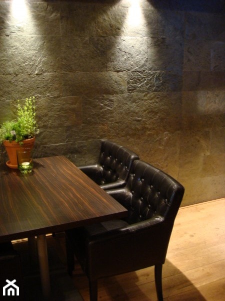 Silkstone- naturalne okładziny kamienne- ściany w salonie - zdjęcie od Galeria Heban- ekskluzywne meble - Homebook