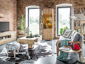ALVARA - Średni salon z bibiloteczką - zdjęcie od Meble Matkowski - meble z litego drewna