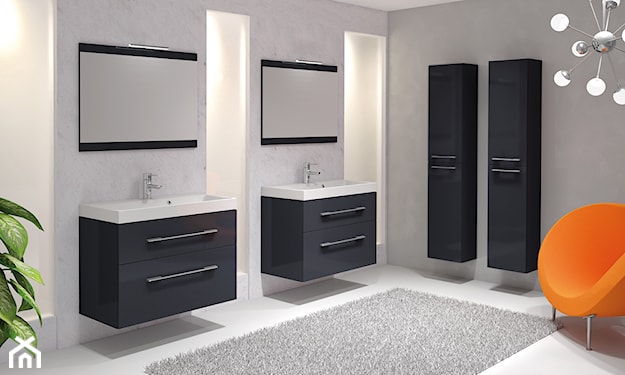 biała łazienka z czarnymi meblami Elita, szary dywan, minimalistyczna łazienka