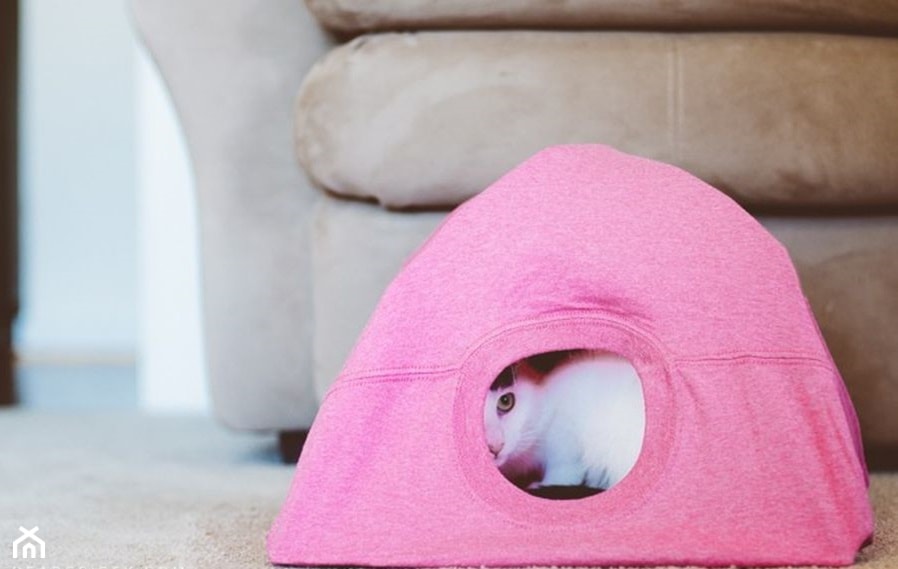 namiot dla kota diy