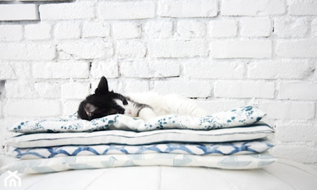 łóżko dla kota łóżko dla psa