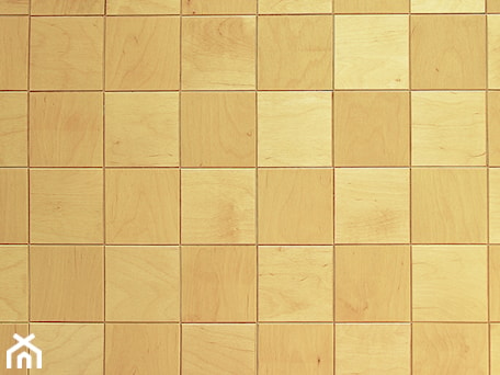 Aranżacje wnętrz - Hol / Przedpokój: drewniana mozaika dudzisz wood and floor, wzór pixel - dudzisz wood and floor. Przeglądaj, dodawaj i zapisuj najlepsze zdjęcia, pomysły i inspiracje designerskie. W bazie mamy już prawie milion fotografii!