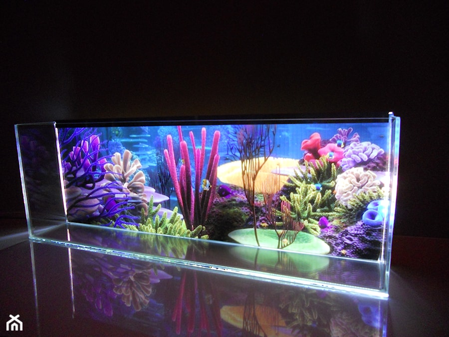 Akwarium Led Crystal - zdjęcie od Visual Design