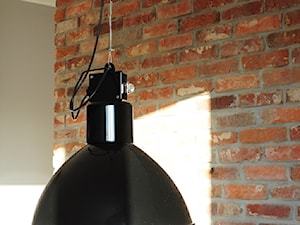 Cegła czerwona i lampa retro - zdjęcie od Dizajnia art - studio projektowe