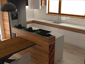 Dom_07 - Kuchnia, styl nowoczesny - zdjęcie od JoKDesign