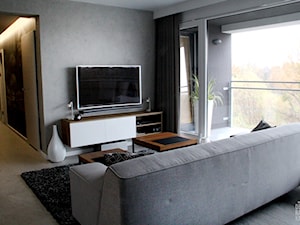 POZNAŃ | Apartament - Salon, styl nowoczesny - zdjęcie od dekoratorka.pl