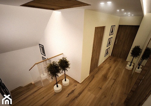 Projekt wnętrz domu jednorodzinnego - Hol / przedpokój, styl nowoczesny - zdjęcie od 3ESDESIGN