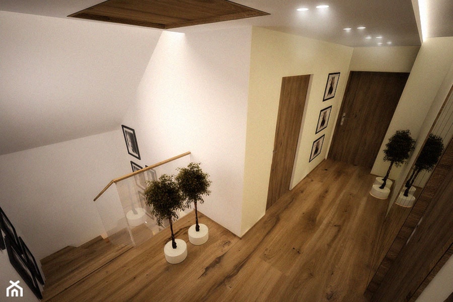 Projekt wnętrz domu jednorodzinnego - Hol / przedpokój, styl nowoczesny - zdjęcie od 3ESDESIGN