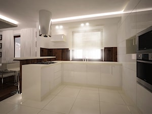 Projekt aranżacji domu - Kuchnia, styl nowoczesny - zdjęcie od 3ESDESIGN