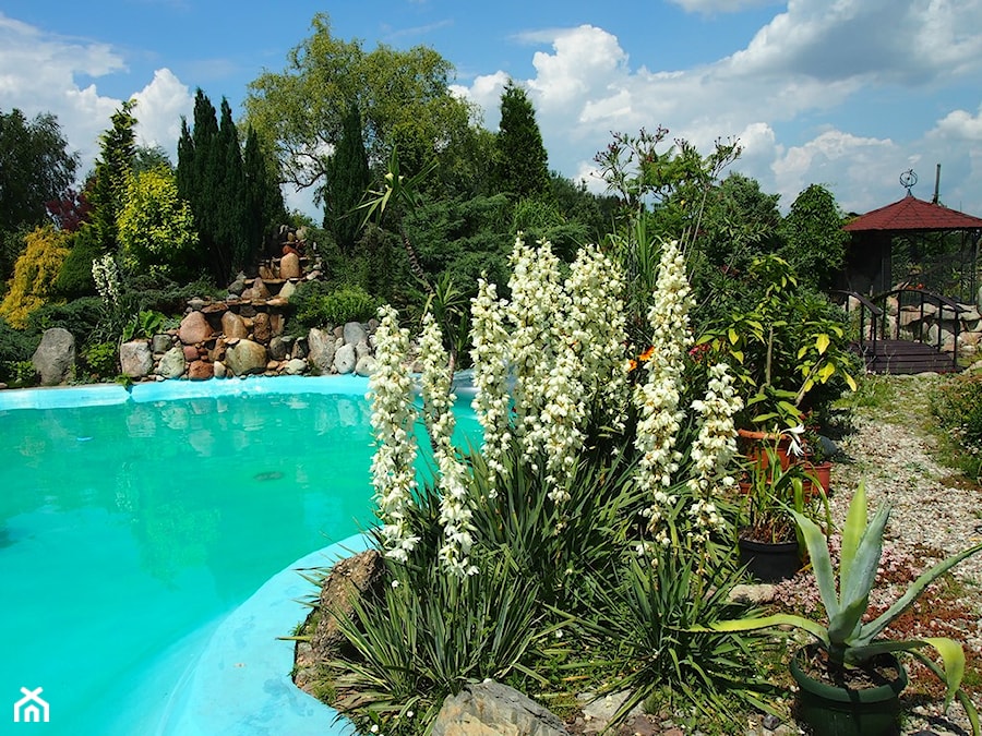 Śródziemnomorski ogród - Duży ogród za domem z altaną - zdjęcie od Marcin Sumiła