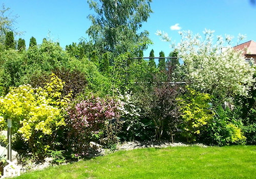 COŚ DLA CIAŁA COŚ DLA DUSZY COŚ DLA OKA - Średni ogród za domem - zdjęcie od Marlena Hein