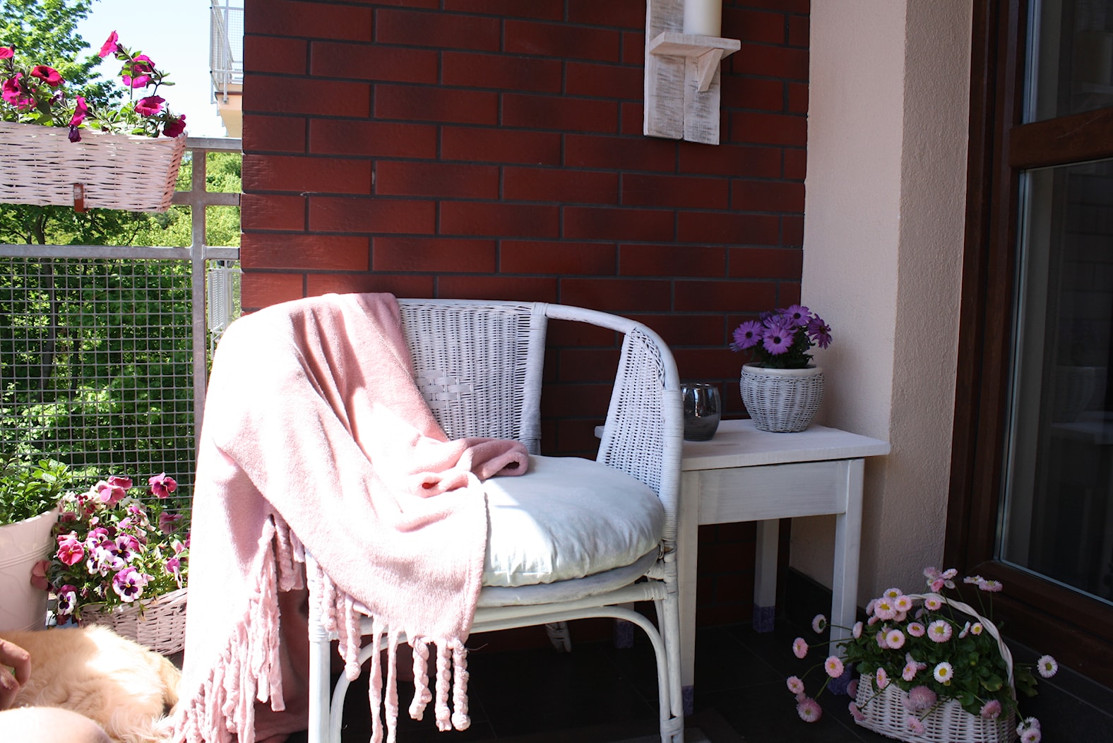 Balkonowy ogródek - Mały z donicami na kwiaty taras z tyłu domu - zdjęcie od Monika Gnat - Homebook
