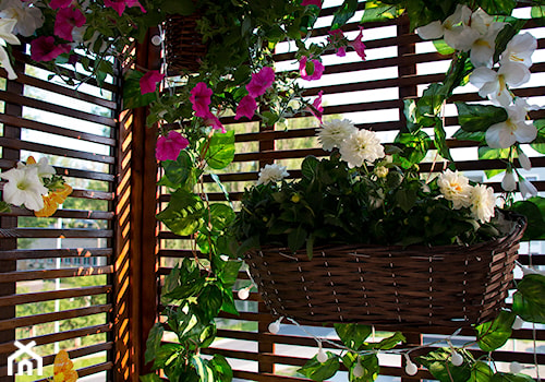 Nasza oaza - Mały z donicami na kwiaty taras z przodu domu z tyłu domu - zdjęcie od Iwona KD