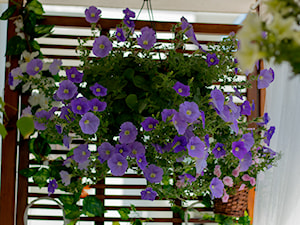 Nasza oaza - Średni z donicami na kwiaty taras z przodu domu z tyłu domu - zdjęcie od Iwona KD
