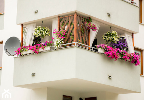 Nasza oaza - Średni z donicami na kwiaty taras z tyłu domu - zdjęcie od Iwona KD
