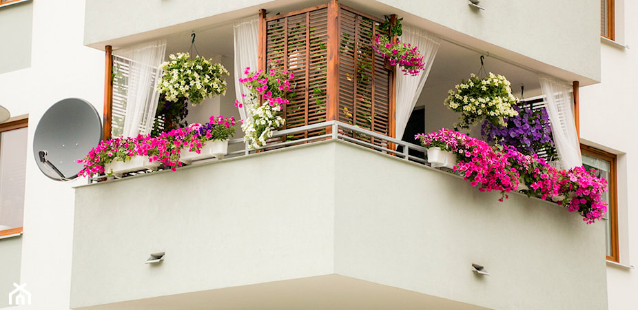 Taras, balkon czy ogródek - które rozwiązanie wybrać planując zakup mieszkania w bloku?