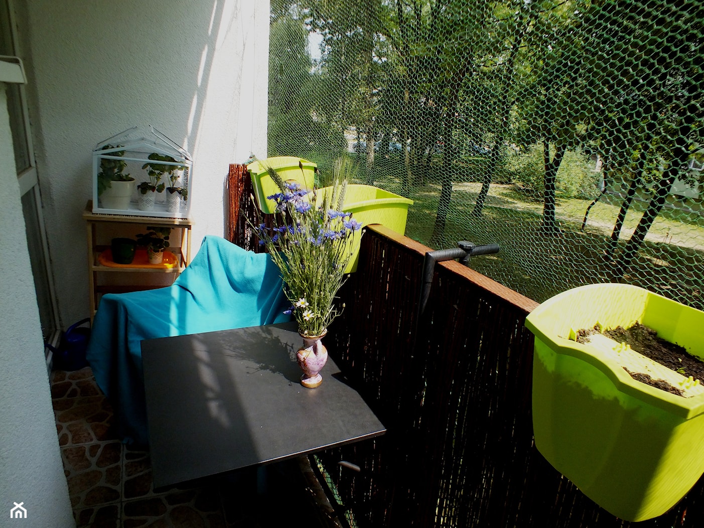 Niewielka przestrzeń mojego balkonu - zdjęcie od Kinga Barabąs-Mirowska - Homebook
