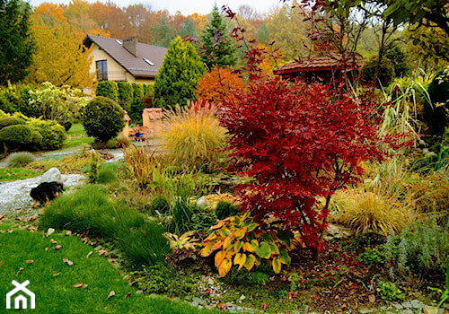 ogród jesienią - zdjęcie od Franciszek Grzegoszczyk