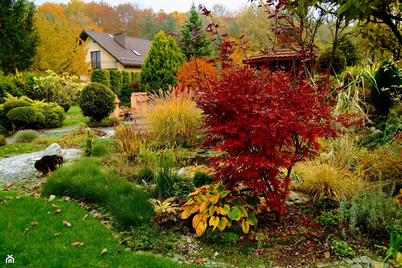 ogród jesienią - zdjęcie od Franciszek Grzegoszczyk - Homebook