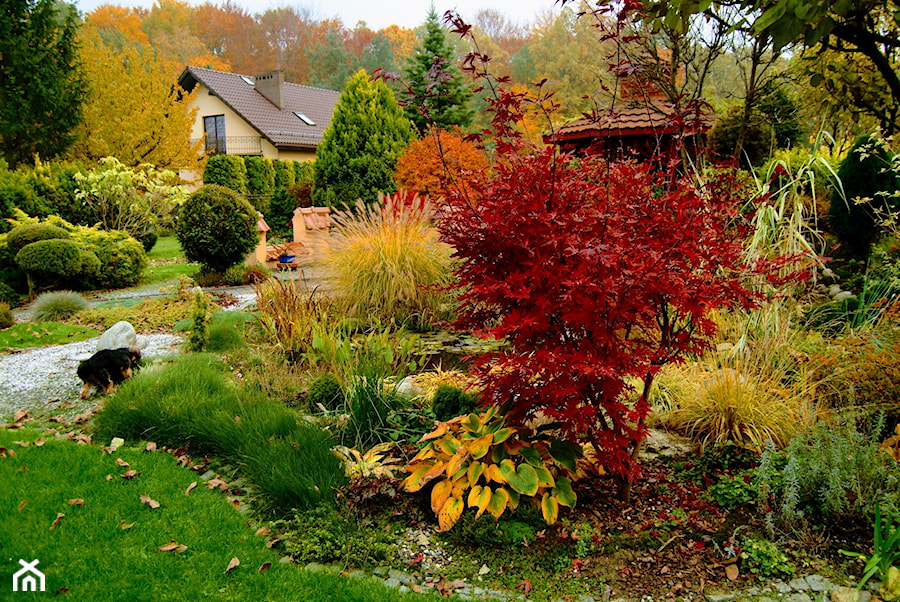 ogród jesienią - zdjęcie od Franciszek Grzegoszczyk