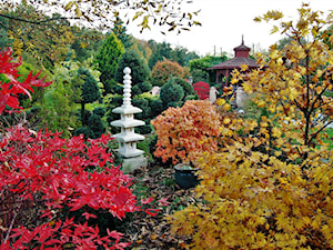 ogród w barwach jesiennych - zdjęcie od Franciszek Grzegoszczyk