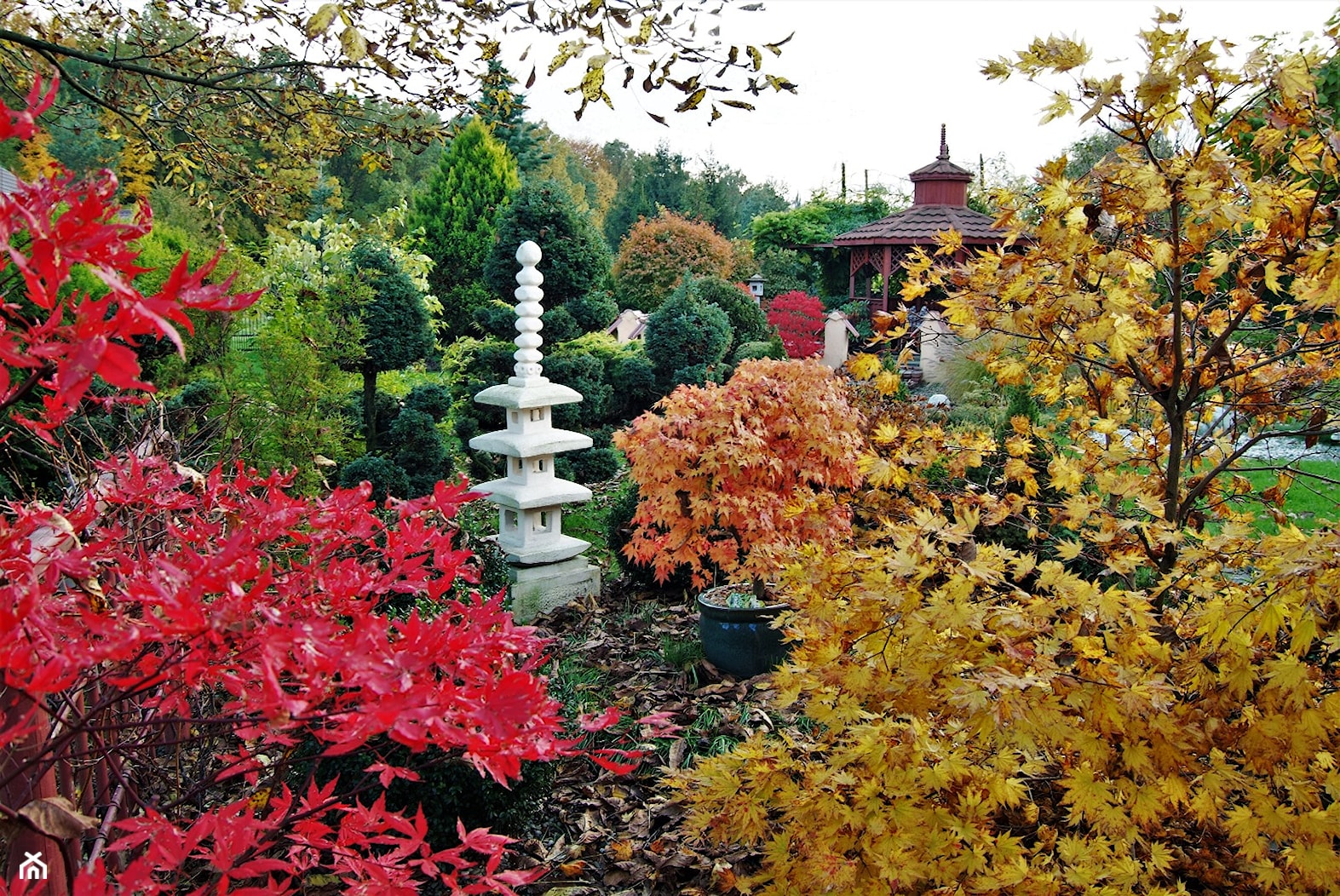 ogród w barwach jesiennych - zdjęcie od Franciszek Grzegoszczyk - Homebook
