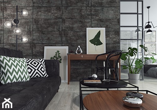 Wall Design - Mały biały czarny salon, styl industrialny - zdjęcie od SWISS KRONO