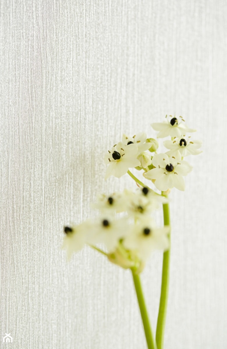 Tapeta winylowa na papierze - Eijffinger - Planish - 351004 - zdjęcie od DecoMania.pl