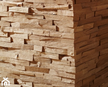 Aranżacje wnętrz - : Panel drewniany - Natural Wood Panels - Dąb Cegiełka Rustykal 3D - DecoMania.pl. Przeglądaj, dodawaj i zapisuj najlepsze zdjęcia, pomysły i inspiracje designerskie. W bazie mamy już prawie milion fotografii!