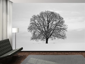 Fototapeta 1 Wall - Samotne Drzewo - zdjęcie od DecoMania.pl