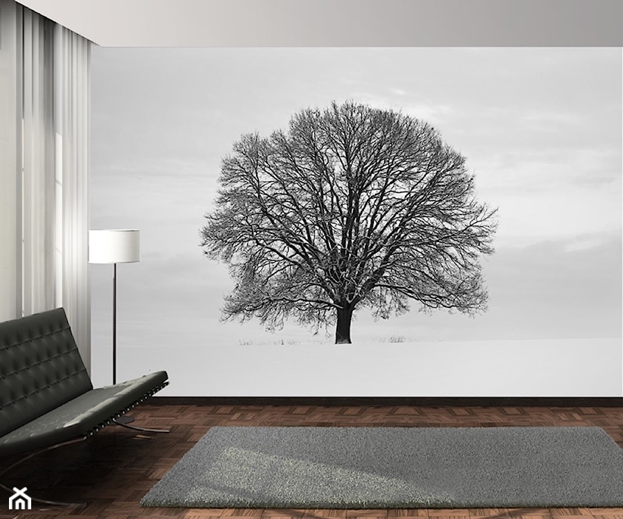 Fototapeta 1 Wall - Samotne Drzewo - zdjęcie od DecoMania.pl