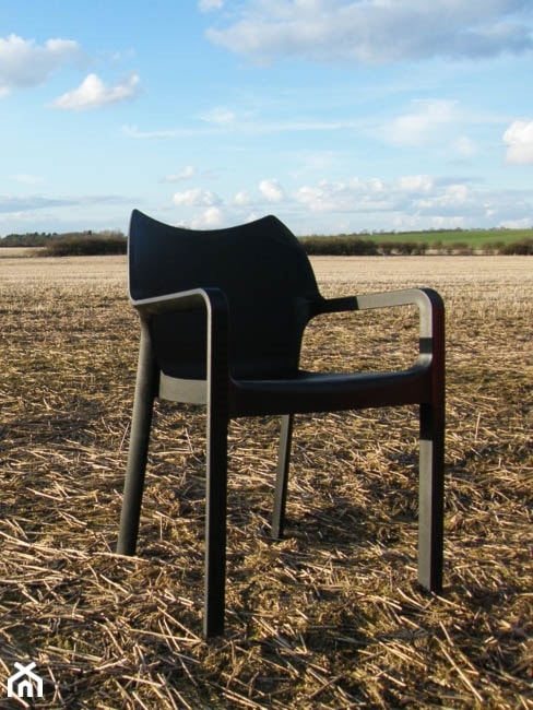 Krzesło Dionisio - D2 - czarne - zdjęcie od DecoMania.pl - Homebook