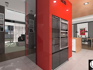 Dom Passive_Nord - Kuchnia, styl nowoczesny - zdjęcie od ABeCe-project / ABC Pracownia Projektowa Bożena Nosiła