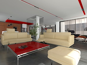 Passive-Luxury - Salon, styl minimalistyczny - zdjęcie od ABeCe-project / ABC Pracownia Projektowa Bożena Nosiła